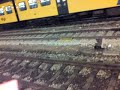 ICE International kommt in Utrecht Central Richtung Deutschland
