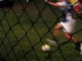 Mayerhofer Attack