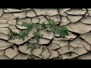 Record Rainfall
