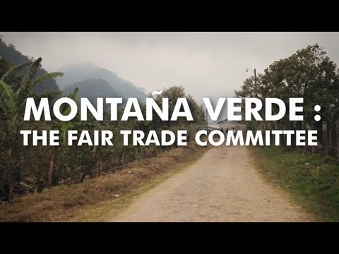 The Fair Trade Committee