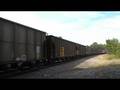 NS 7681 Leads NS Q24 at North Dalton