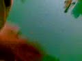 Video002