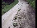 Crazy Autofahrt