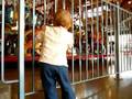 videos de 10-12-08 - Carousel - 4