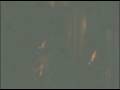 videos de GuadaLuPe - CoRRe LoLa - CluB LoUnge 04.09.08