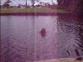 Fletcher takes a swim in the canal