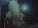 A SAGA DE UMA BANANA TARADA