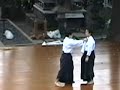 Daiwado jujutsu Daiwado jujutsu