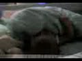 Wrestlemania ( Luke vs Pillow ) Wrestlemania ( Luke vs Pillow )