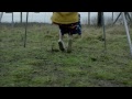 Teaser (Saison 2)