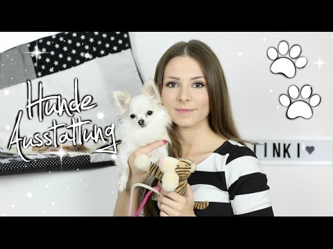 XXL HUNDEZUBEHÖR HAUL + VERLOSUNG 🐶 | Hundedecke, Spielzeug, Leinen, Geschirr, Pflege