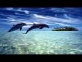 Seventh Heaven - Dolphins (Stoneface & Terminal Remix)  [HD Vapour TRANCE]