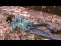 Avant*garde Staffel 1 - Magazin Trailer