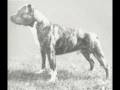 X-PERT HISTORICAL PICTURES, photos historiques,