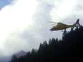 videos de dauphin trento 2