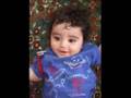 videos de Antep Araban AKBUDAK