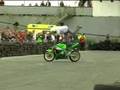 European-Stunt-frees