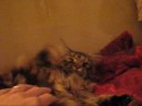 angel_0001.wmv
