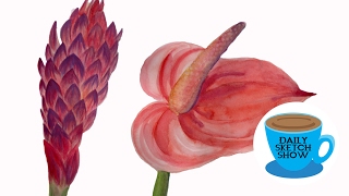 Tropical Flowers Studies
