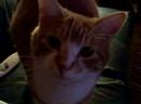 Oliver Underfoot