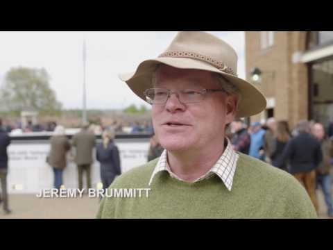 Tattersalls Guineas Breeze Up & HIT Sale 2017