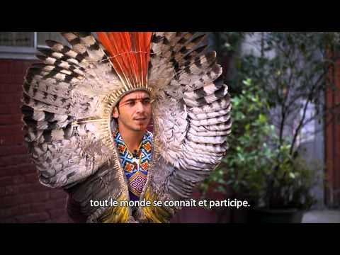 Voir la vidéo Voir la vidéo
