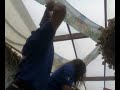 oktoberfest-2007.html