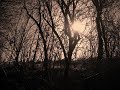 idee per la gita fuori porta dell'8 dicembre? il parco dei Gessi bolognesi sembra niente male [giusto per dirne una] http://www.youtube.com/watch?v=B4ezGhsML3w