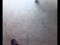 Mando con funcion panico de un Passat 3BG