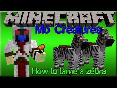 how to train a zebra