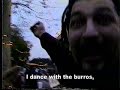 Donkey Dancing