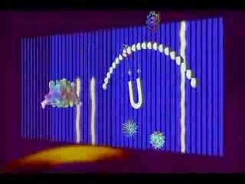 MIDI Animation