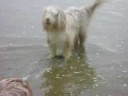 Lekker rennen aan zee ( Noordwijk ) deel 3 Lekker rennen aan zee ( Noordwijk ) deel 3