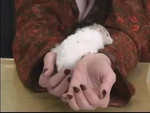 how to practice reiki