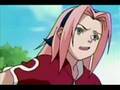 Sakura is Rodger!