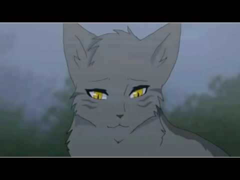 картинки коты-воители серебрянка и крутобок онлайн картинки коты-воители серебрянка и крутобок