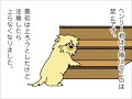 うちのイヌはめんたる犬 Episode19「ワープ！」