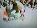 Ver Video