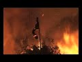 TAR BARRELS TAR BARRELS