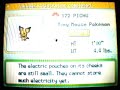 Shiny Pichu With Poke Radar Shiny Pichu With Poke Radar