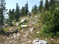 Sheep Mountain 2008