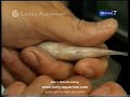 See Video