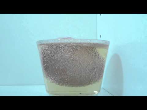 how to dissolve eggshell with vinegar