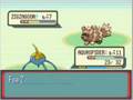Surskit Only Run -Part 3- Route 104