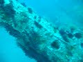 U352 U352