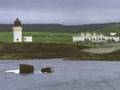 Matt McGinn- Stornoway Rose