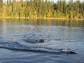 30\" Dumas Boat Video !!!!360!!!! And Keeps Going