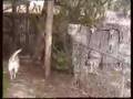 comedy-happens-forre