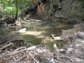 videos de Finca La Primavera_10