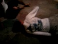 Video0143